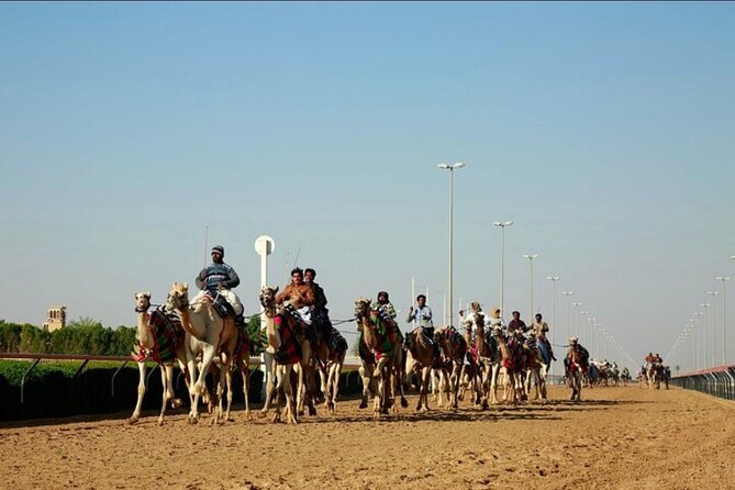 Doha: West Coast Tour Sculpture,Camel Racing Track Rock Formation - Ash-Shahaniyah and the camel racing track