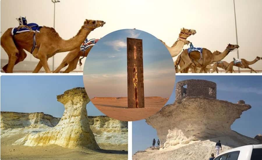 Doha : West Of Qatar Tour With Pickup & Drop-Off - Camel racing at Al-Shahaniya