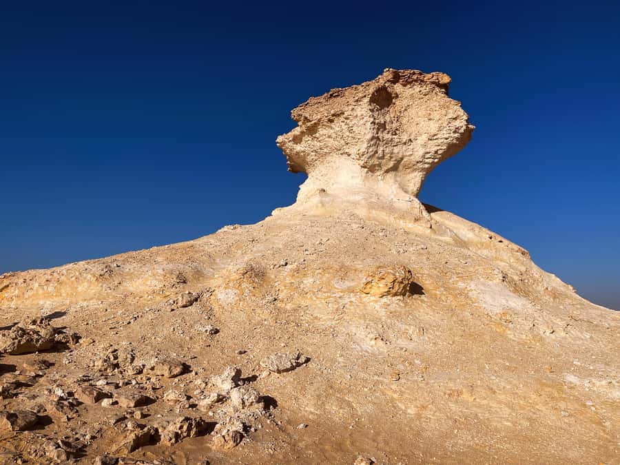 Doha: West Qatar Guided Journey With Pickup & Drop-Off - A quick look at Zakreet Fort ruins