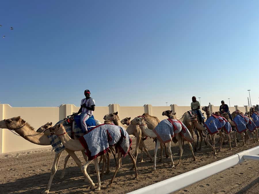 Doha: West Qatar Guided Journey With Pickup & Drop-Off - Who should book this West Qatar tour