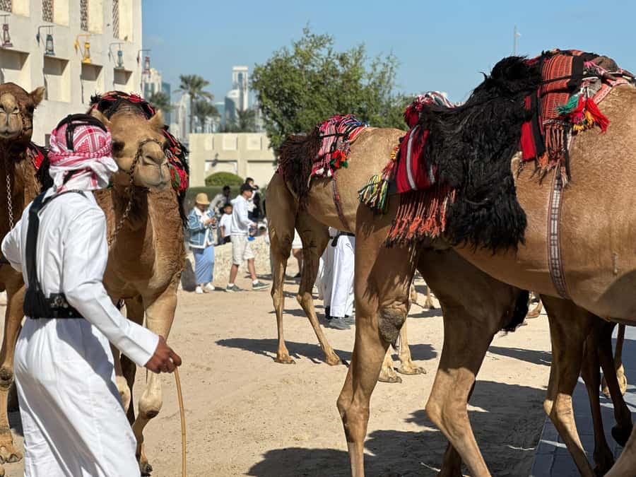 Doha: West Qatar Guided Journey With Pickup & Drop-Off - Should you book it?