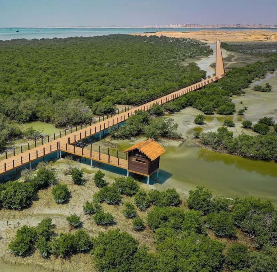 Doha: Zubara UNESCO Site, Mangroves & Jumail Village - Purple Island and the Al Thakira Mangroves