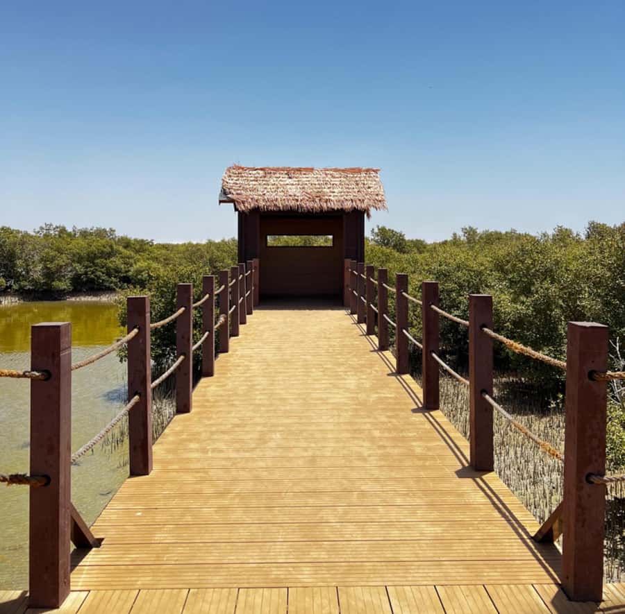 Doha: Zubara UNESCO Site, Mangroves & Jumail Village - The road north from Doha