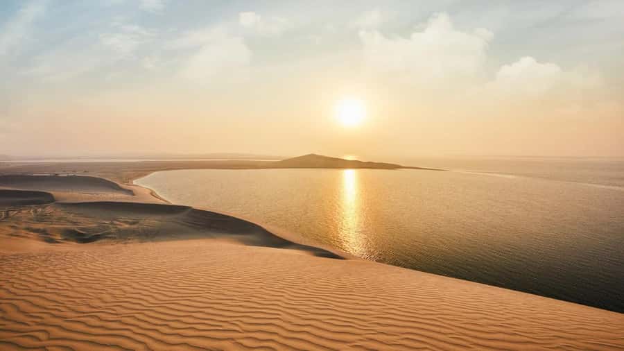 Dune Bashing &Beyond The Ultimate Desert Safari From Doha - Comfort, safety, and who should skip it