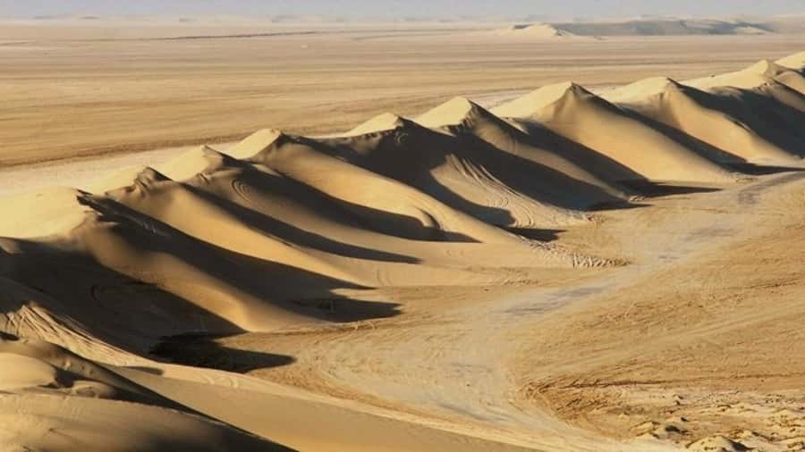 Dune Bashing, Sandboarding, Camel Ride & Optional ATV Ride - From Doha to the edge of the desert