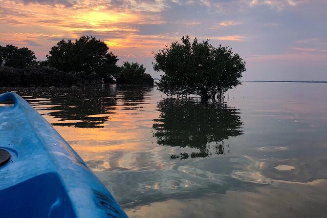 Eco Kayaking Adventure – Mangrove Exploration at Purple Island - Key points to know before you book