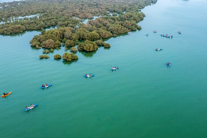 Eco Kayaking Adventure – Mangrove Exploration at Purple Island - Purple Island and the national flag story