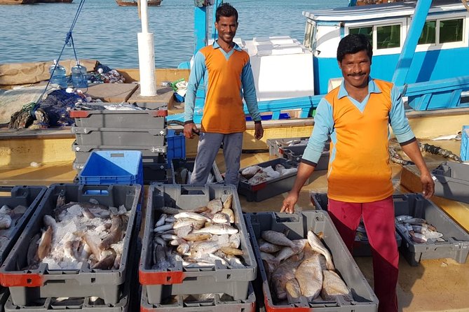 Explore North of Qatar: Visit Zubarah Fort and Fishing Town of Al Khor - Who will enjoy this northern Qatar outing?