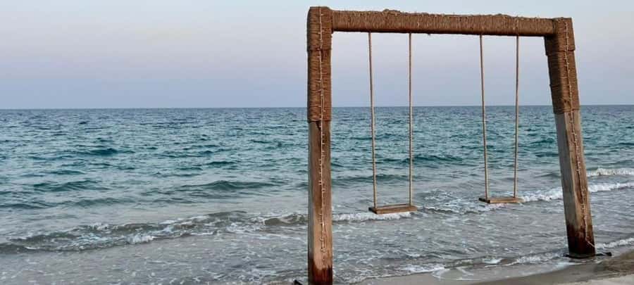 From Doha: 8-hour Safari Tour with Desert Beach Experience - The meal, drinks, and the value of comfort