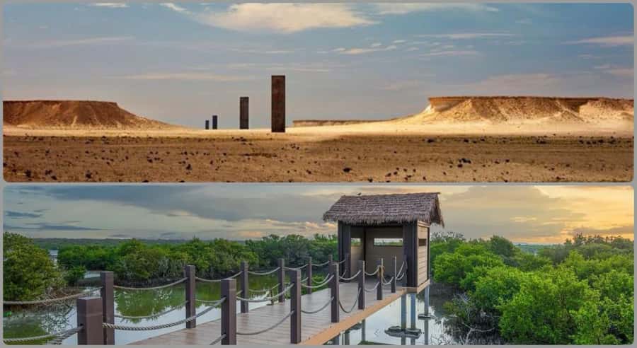 From Doha: Culture & History Qatar Tour to the North & West - Why this North and West Qatar route is worth your day