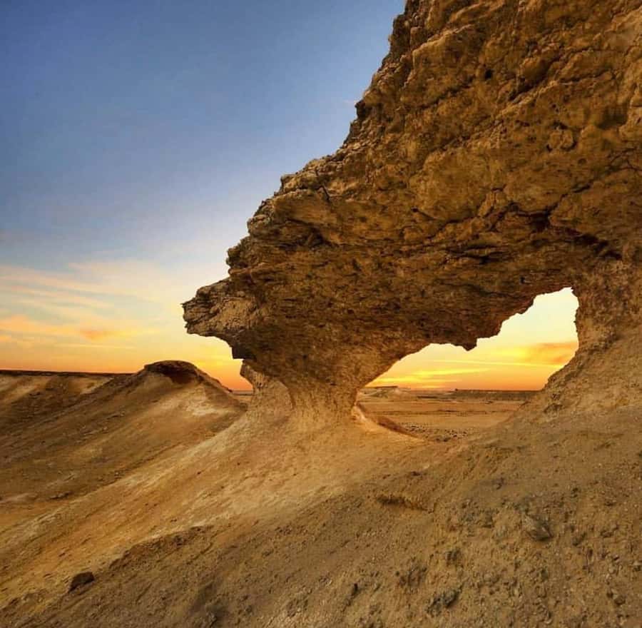 From Doha: Culture & History Qatar Tour to the North & West - What the guides add to the day