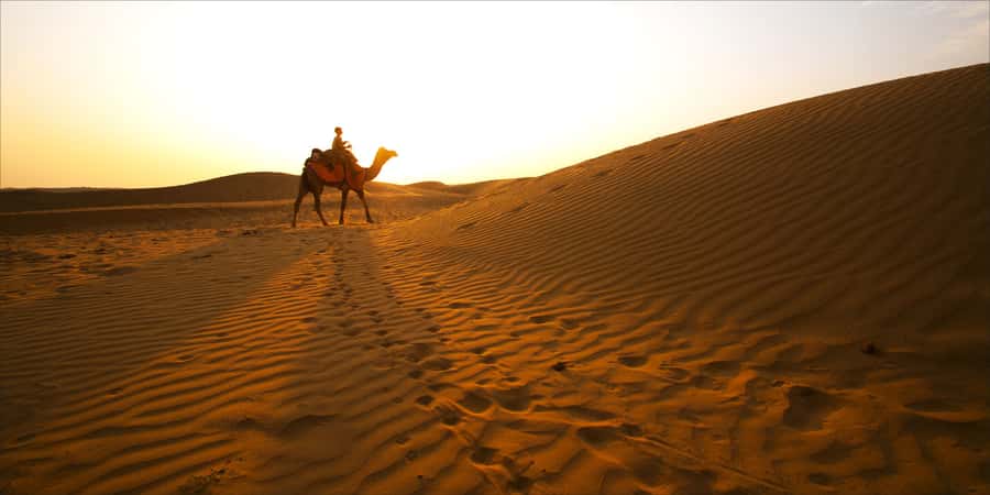 From Doha: Exclusive Monster Bus Safari Experience - Key points to know before booking