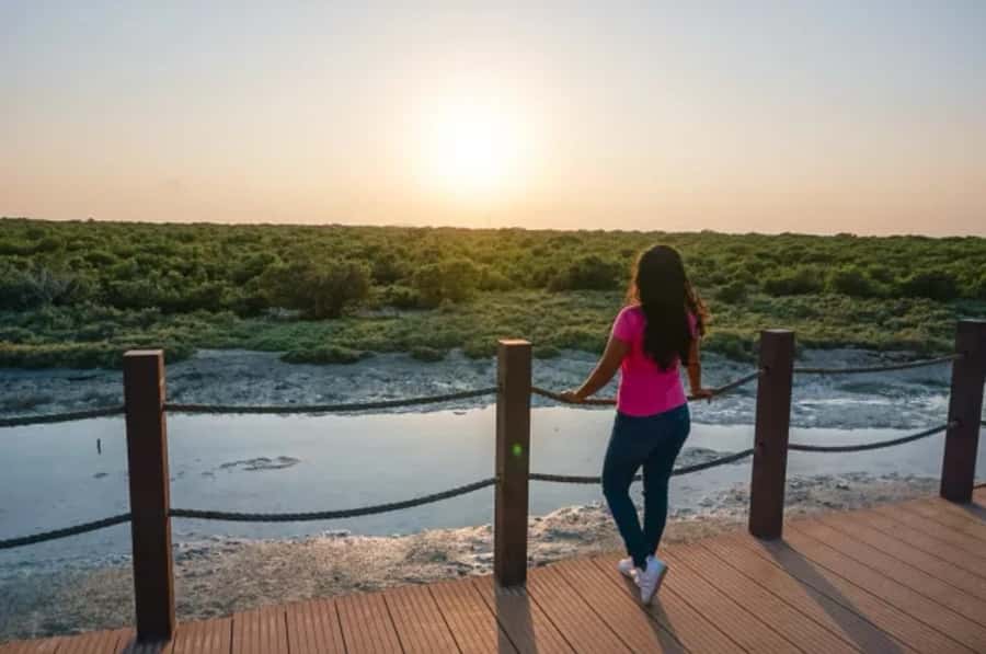 From Doha: Full-Day Tour to Qatar North and West - What the guiding adds