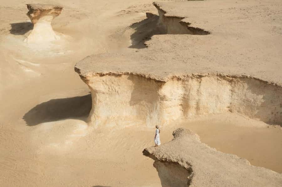 From Doha: Full-Day Tour to Qatar North and West - Al Khor and Purple Island ease you into the route