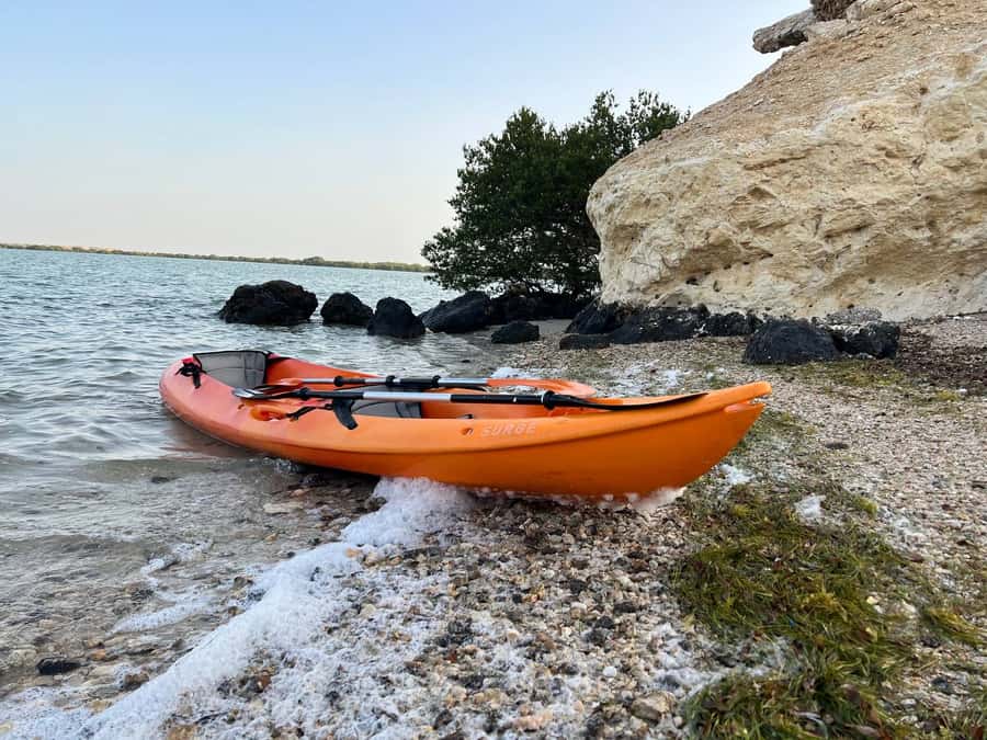 From Doha: Mangroves Kayaking Adventure - Paddling through Al Thakira’s mangroves