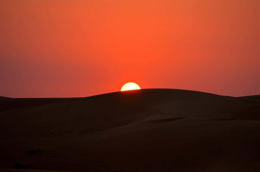 From Doha: Sunrise or Sunset Safari with Sand Boarding - The camel camp and optional falcon photo