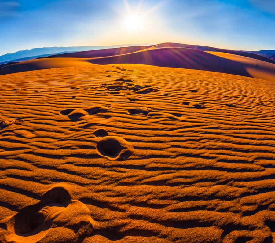 From Doha: Sunrise or Sunset Safari with Sand Boarding - Guides and the quality of the ride
