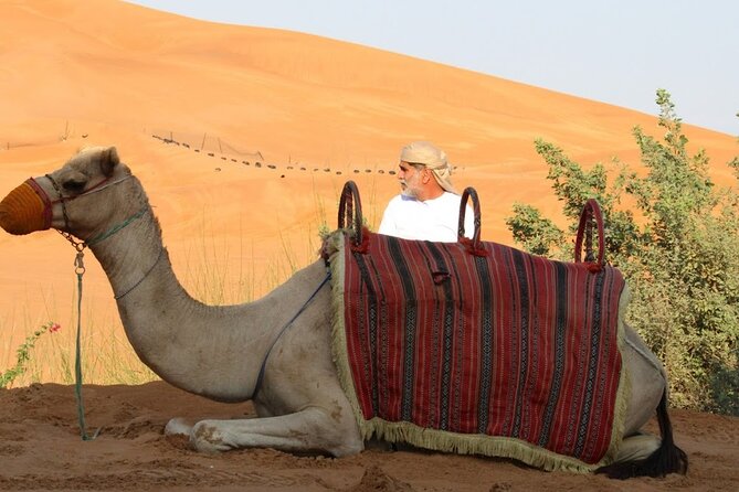 Full Day Desert Safari with Camp Access, Buffet Dinner,Camel Ride - Khor Al Udaid brings the desert and sea together