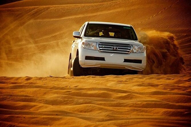 Full Day Desert Safari with Camp Access, Buffet Dinner,Camel Ride - The camel visit and the extra 20 QAR charge