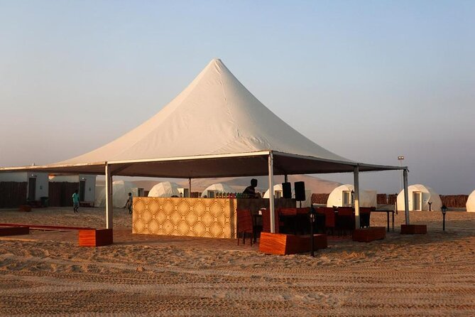Full Day Desert Safari with Camp Access, Buffet Dinner,Camel Ride - Who will get the most from this tour
