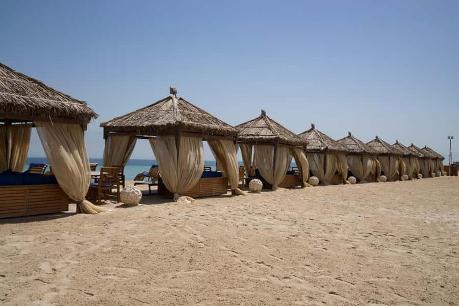 Full day desert safari with lunch or Dinner - Is $151 per person good value?