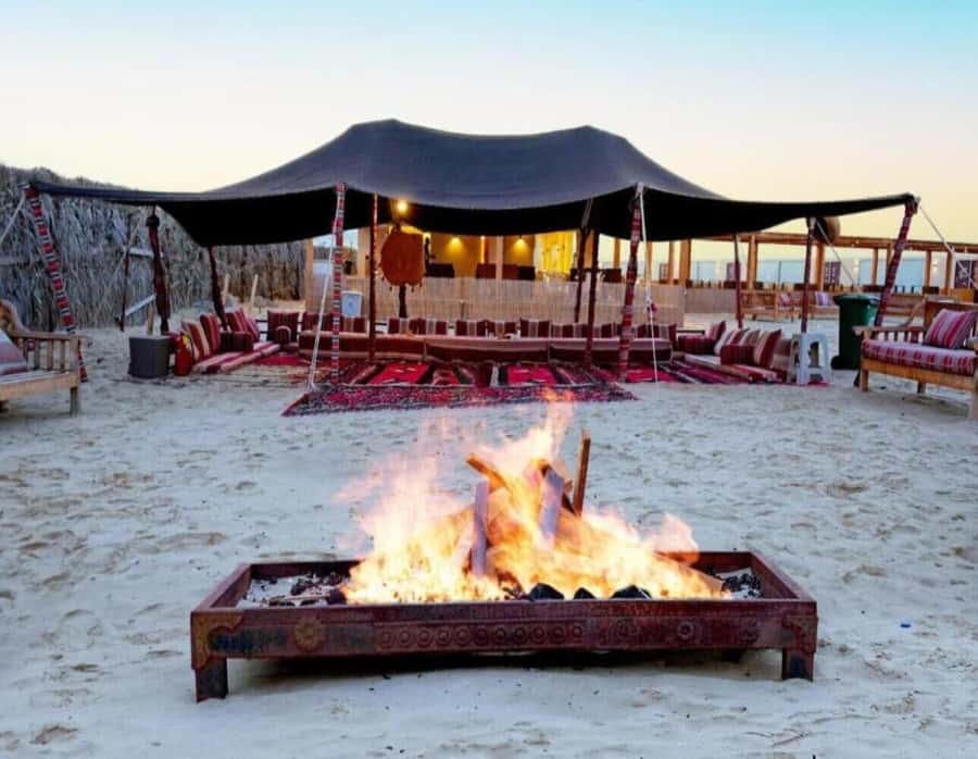 Full day desert safari with lunch or Dinner - Who will enjoy this safari most?