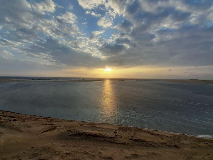 Full day desert safari with lunch or Dinner - Should you book this Qatar desert safari?