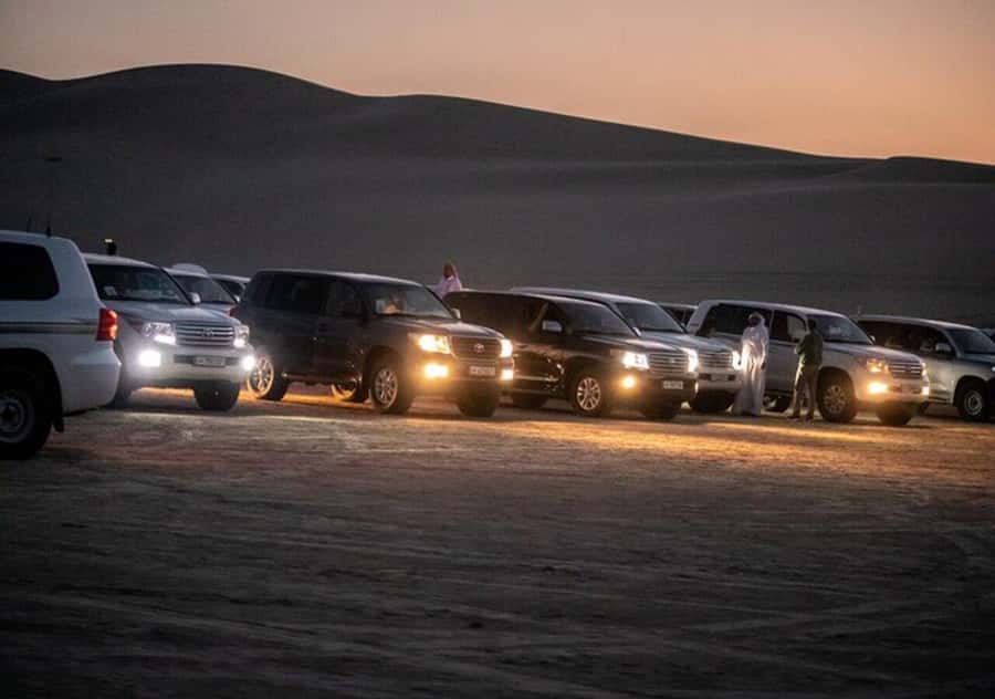 Full day desert safari with lunch or Dinner - Sealine Beach Resort: camels, tea, and a gentle start