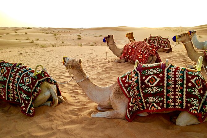 Full-Day DesertSafari with Camel Ride,InlandSea & BBQ Desert Camp - Sandboarding adds a simple hands-on activity