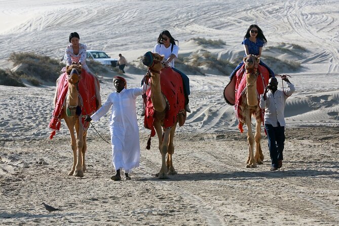 Full-day Qatar desert safari: dune bashing, sandboarding, camels - Sealine Beach and the first taste of desert life