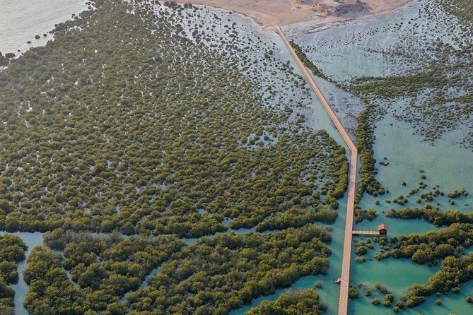 Full Day Qatar North and City Tour with Pickup From Doha - Purple Island and Al Thakira offer a quieter Qatar