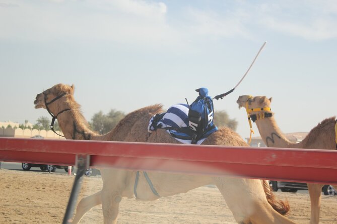 Full-Day Tour Qatar North And West - Zekreet Fort and the western peninsula