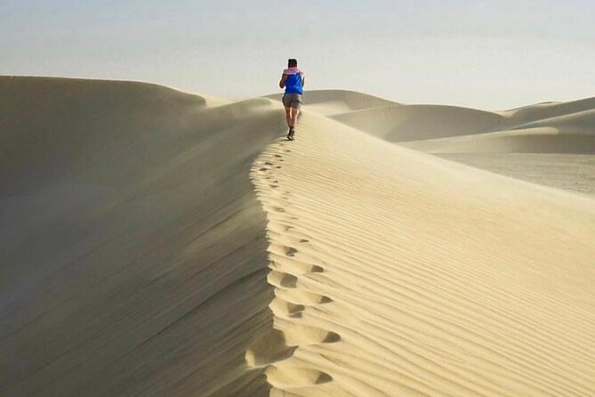 Half Day Desert Safari and Inland Sea - Practical timing, comfort, and cancellation