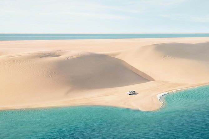 Half Day Desert Safari and Inland Sea - The short camel ride and photo stop
