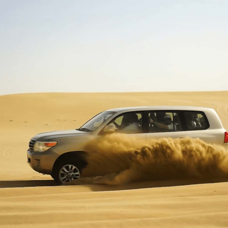 Half-Day Desert Safari For Cruise Ships Passngers. - Key points at a glance