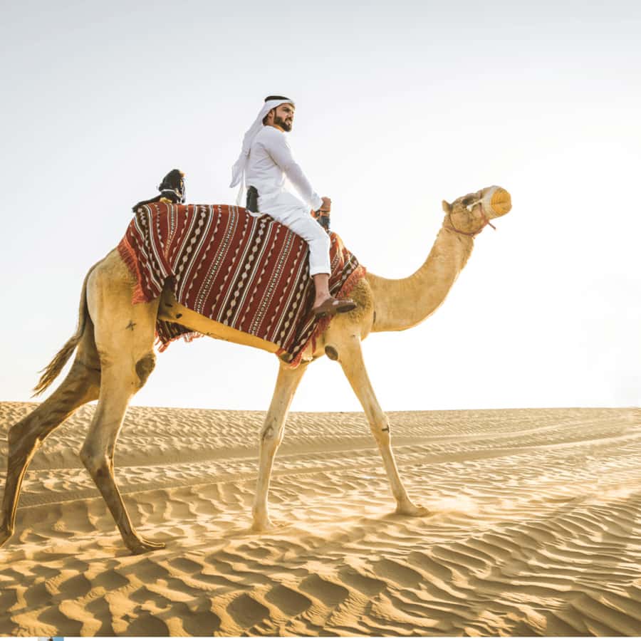 Half-Day Desert Safari For Cruise Ships Passngers. - Tea, camp life, and the five-minute camel ride