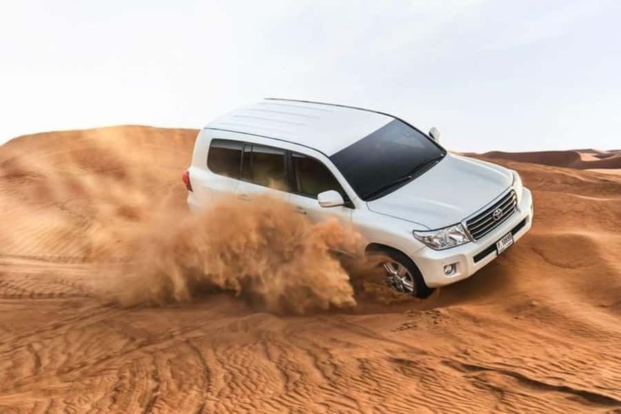 Half-Day Desert Safari For Cruise Ships Passngers. - Starting near Mina Hotel and the cruise terminal