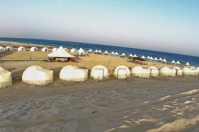 Half Day Desert Tour with Camel Ride - Key details before you book