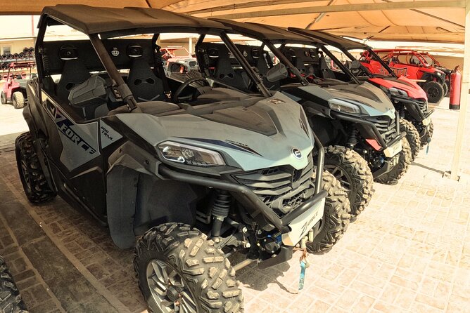 Half Day Night and Morning Desert Safari Camel and Sand Boarding - Practical advice for a smoother outing