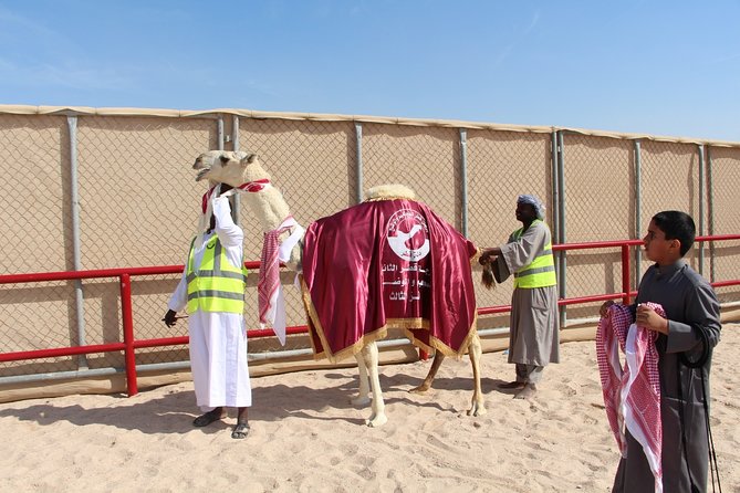 Half-Day Private Guided Camel Race Tour in Qatar - The moving-car race is the big thrill