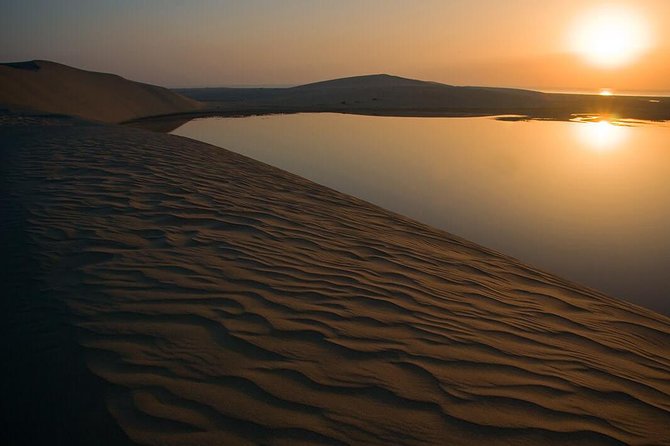 Night Desert Safari | Sand Boarding || Camel Ride || Inland Sea - Sand boarding and the first burst of speed