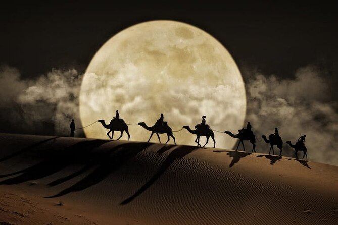 Night Desert Safari, Stargazing, Dune Driving & Inland Sea Visit - Leaving Doha for the Qatar desert