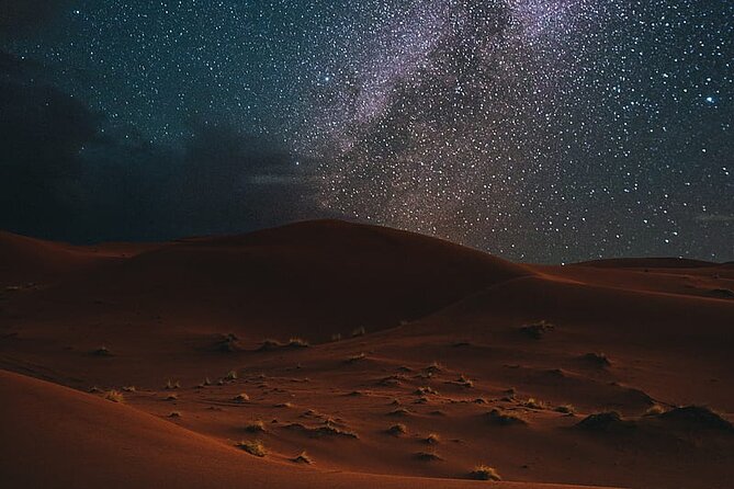 Night Desert Safari, Stargazing, Dune Driving & Inland Sea Visit - Choosing the right guide and setting expectations