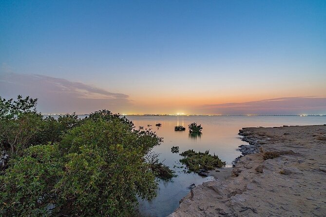 North of Qatar Tour, Zubara Fort, Mangroves, Jumail Village - Al Jumail Village, a quieter look at traditional life