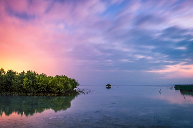 North of Qatar Tour, Zubara Fort, Mangroves, Jumail Village - Who will get the most from this tour