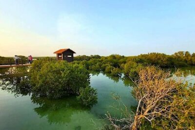 North of Qatar Tour|Zubara Fort, Purple Island & Mangroves Colony