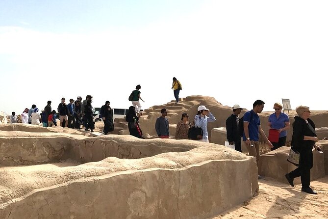 North Qatar Half-Day Tour: Al Zubarah, Purple Island & Mangroves - Why this half-day trip is useful from Doha