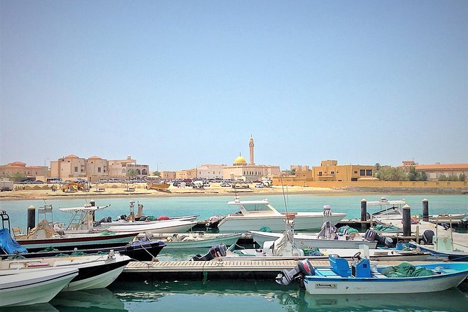North Qatar Half-Day Tour: Al Zubarah, Purple Island & Mangroves - Al Thakhira Beach and old coastal life