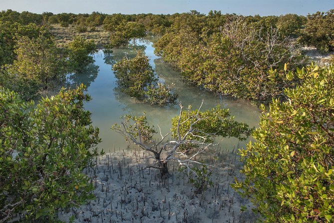 North Qatar Half-Day Tour: Al Zubarah, Purple Island & Mangroves - How the driving and private vehicle affect the day