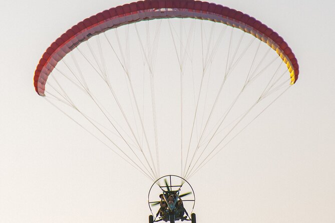 Paratrike Air Tour Doha - What the strongest feedback gets right